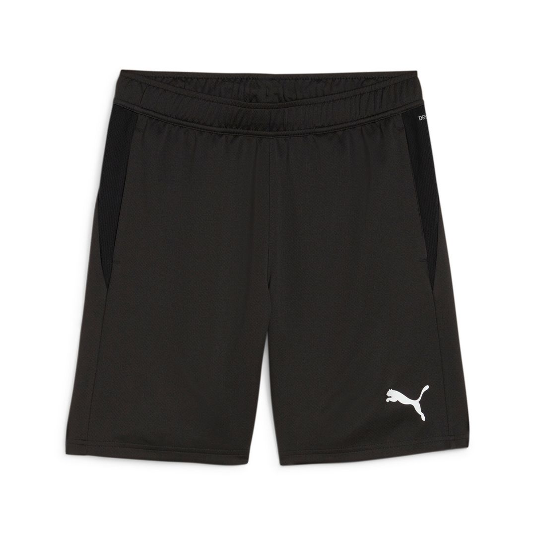 Мужские шорты PUMA teamGOAL Training Short